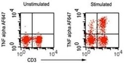 TNF-alpha Antibody (6N2E12) - Azide and BSA Free, Novus Biologicals 0.1